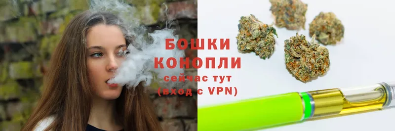 Бошки Шишки SATIVA & INDICA  где купить наркотик  Боготол 